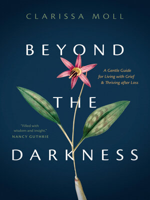 cover image of Beyond the Darkness